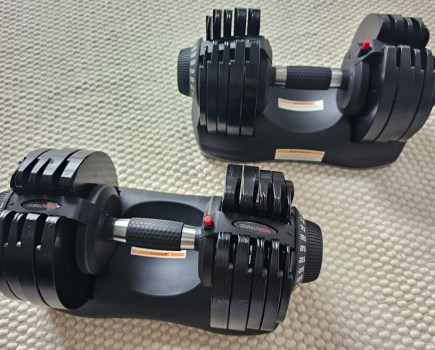 Close-up of Bowflex adjustable dumbbells