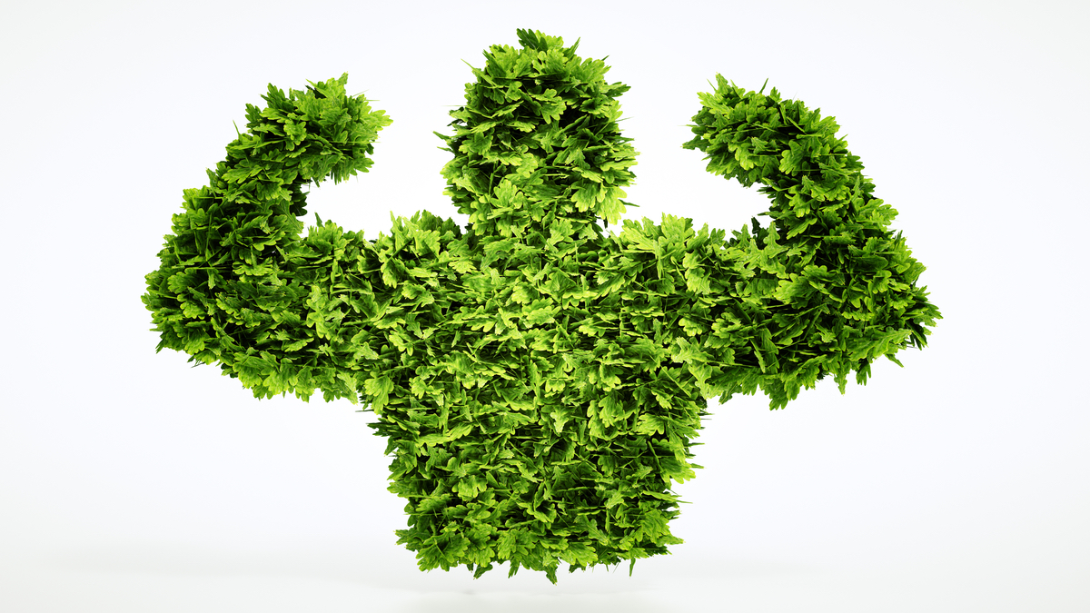 vegan myths busted